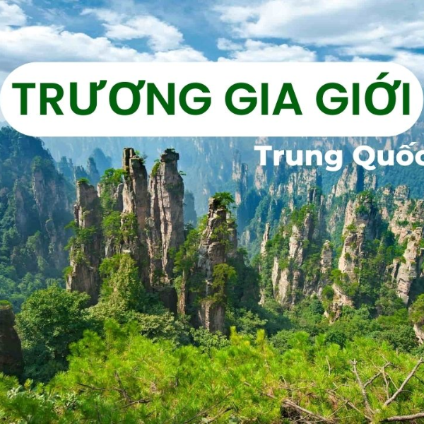 TRƯƠNG GIA GIỚI - PHƯỢNG HOÀNG CỔ TRẤN